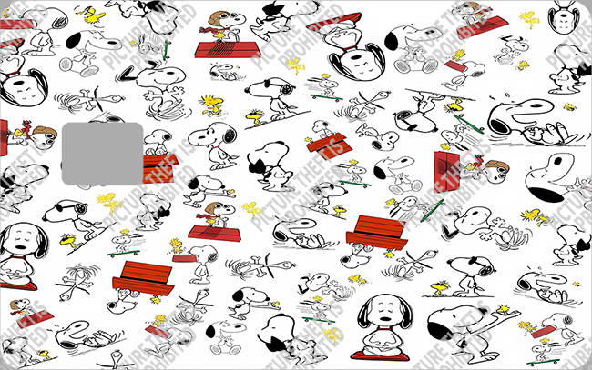 Bank  Card Sticker-BC-3980